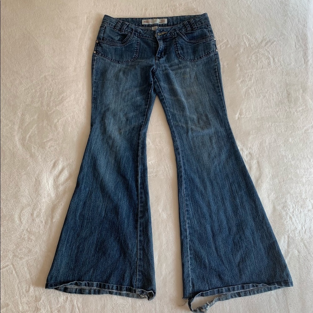 Y2K Low Waisted Flare Jeans Distressed Hippie